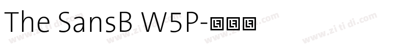 The SansB W5P字体转换